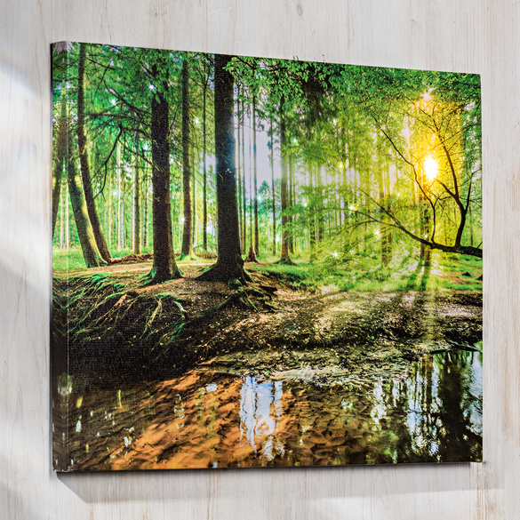 LED-Bild 'Wald'