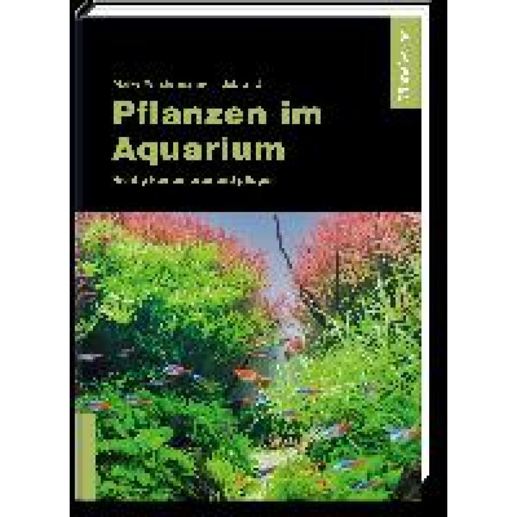 Wilstermann-Hildebrand, Maike: Pflanzen im Aquarium