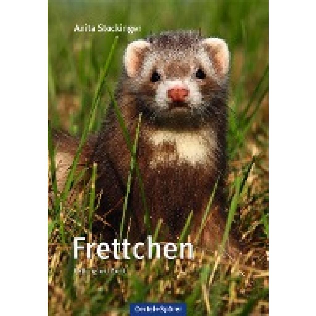 Stockinger, Anita: Frettchen