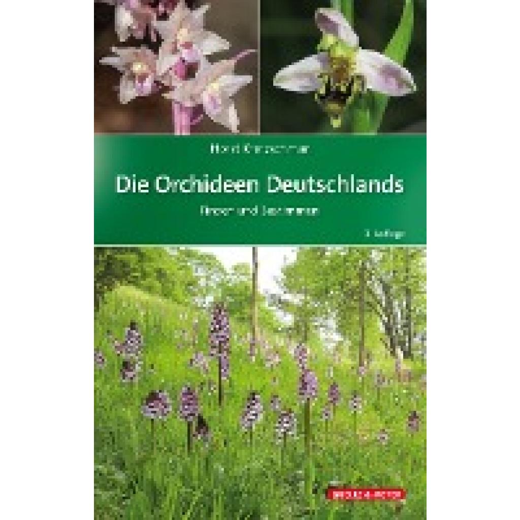 Kretzschmar, Horst: Die Orchideen Deutschlands