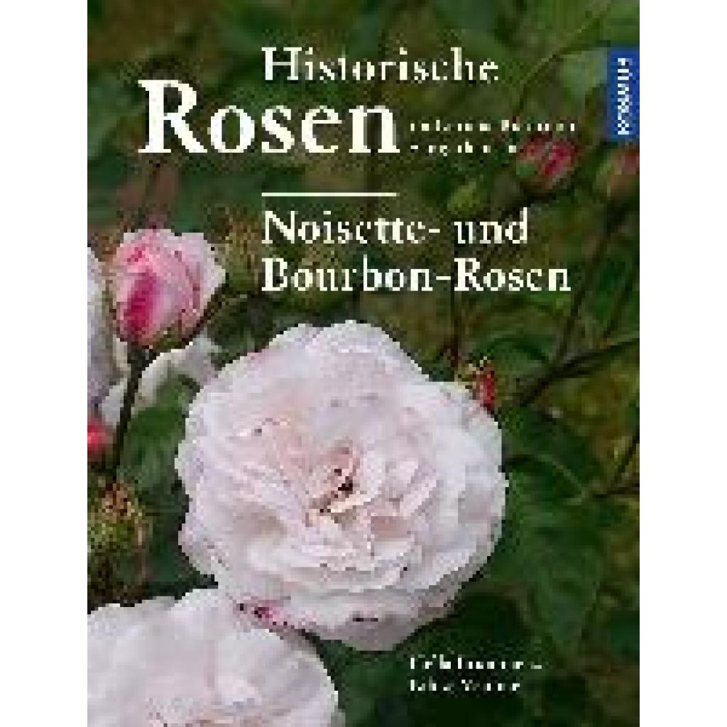 Brumme, Hella: Historische Rosen im Europa Rosarium Sangerhausen: Noisette- und Bourbon-Rosen