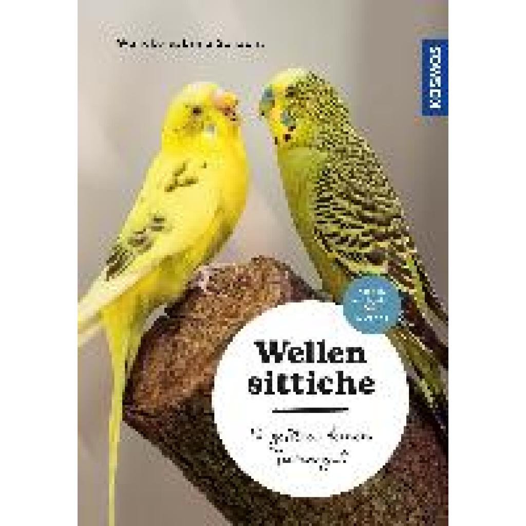 Schacht, Wencke Sabrina: Wellensittiche
