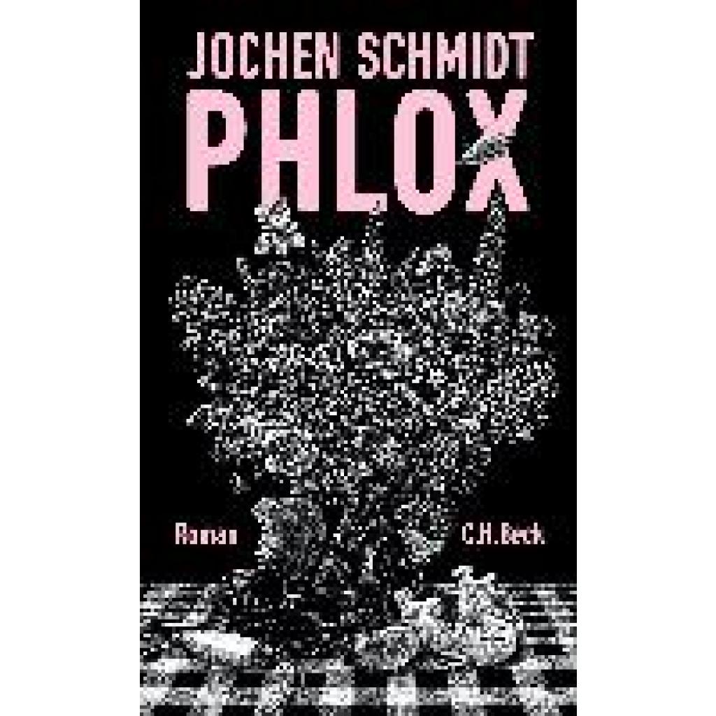 Schmidt, Jochen: Phlox