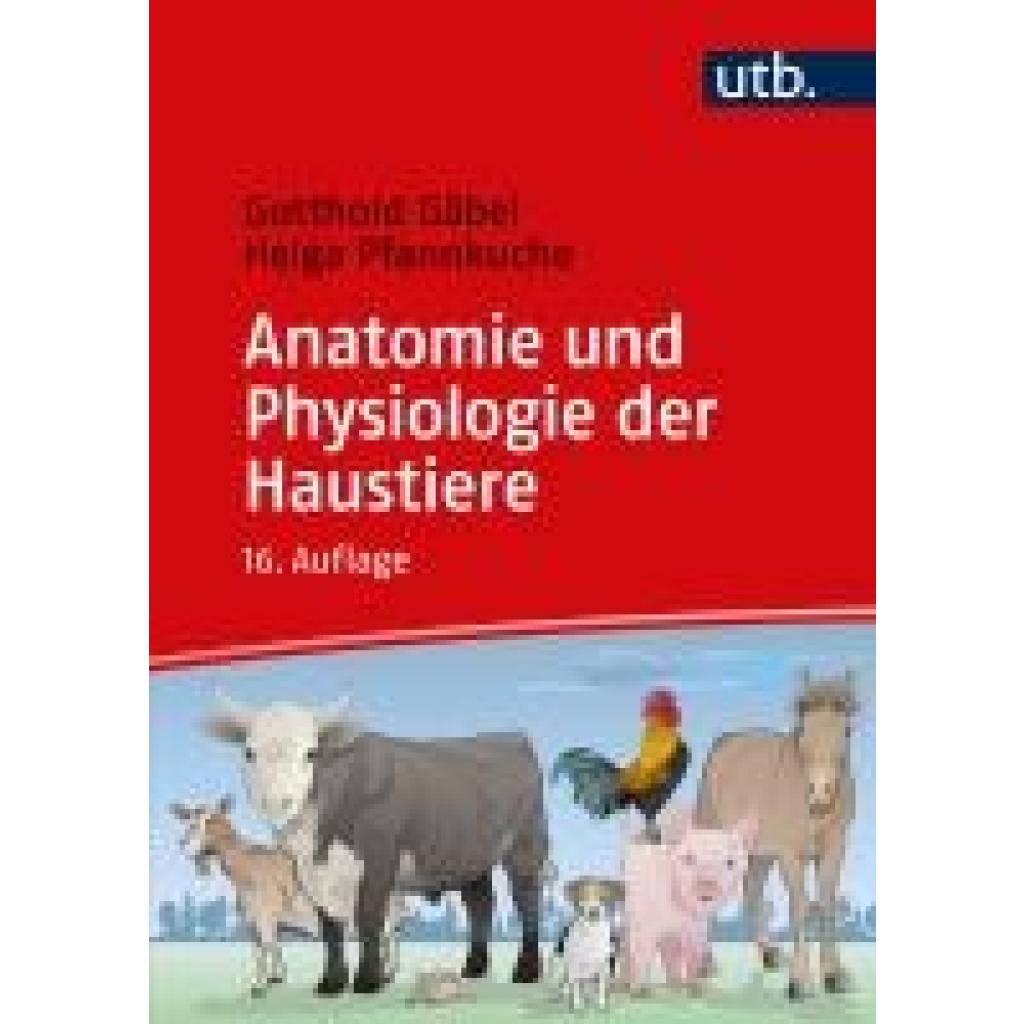 Gäbel, Gotthold: Anatomie und Physiologie der Haustiere