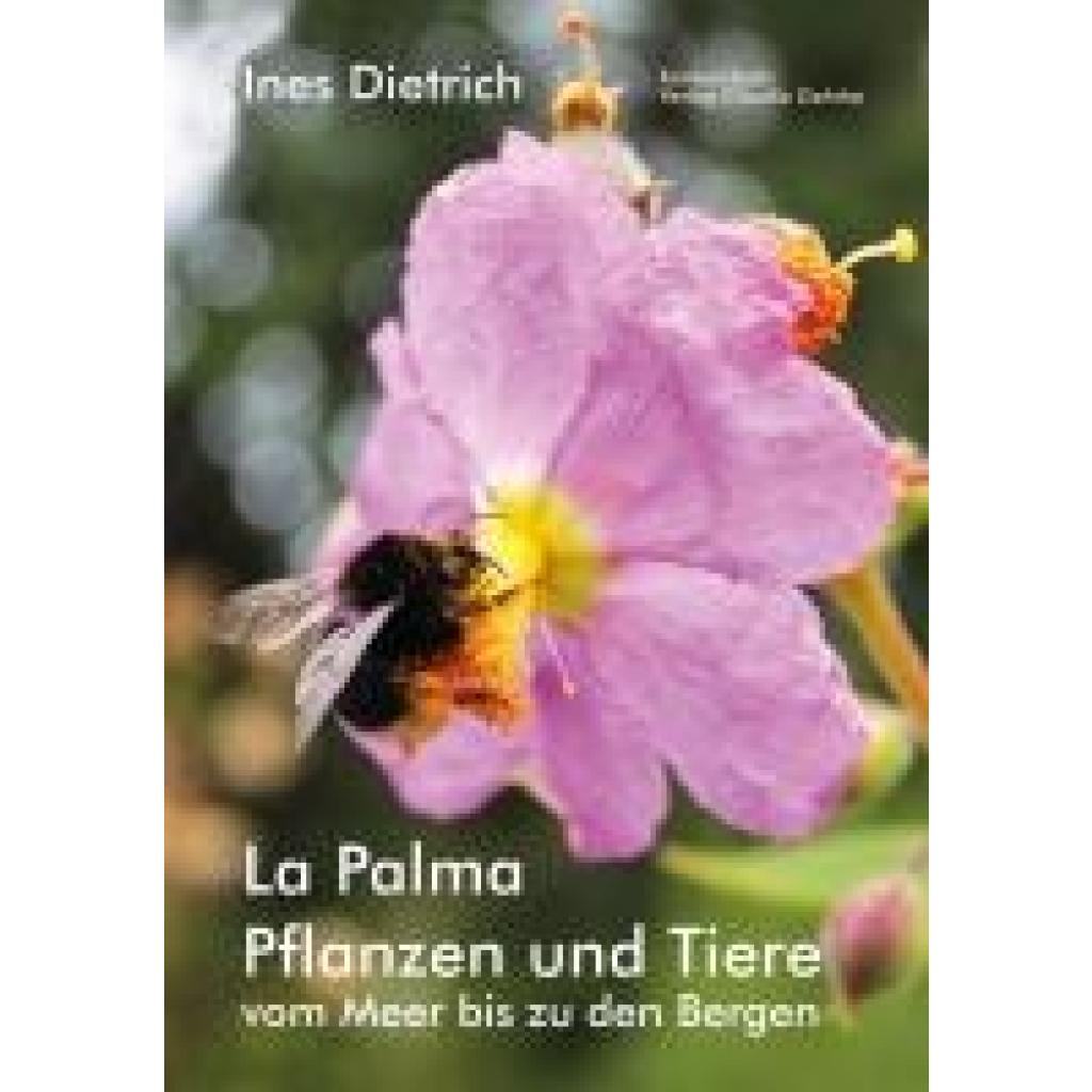 Ines, Dietrich: La Palma. Pflanzen und Tiere vom Meer bis zu den Bergen