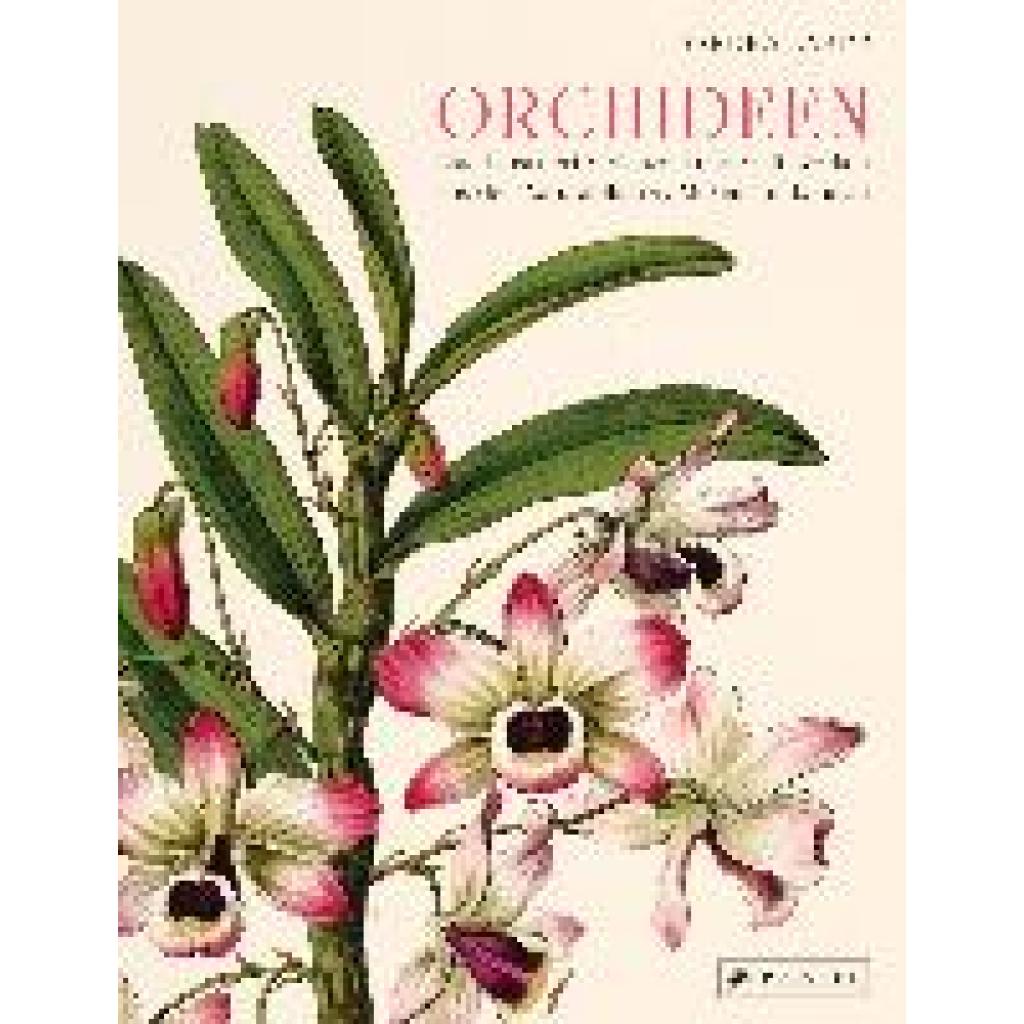 Knapp, Sandra: Orchideen