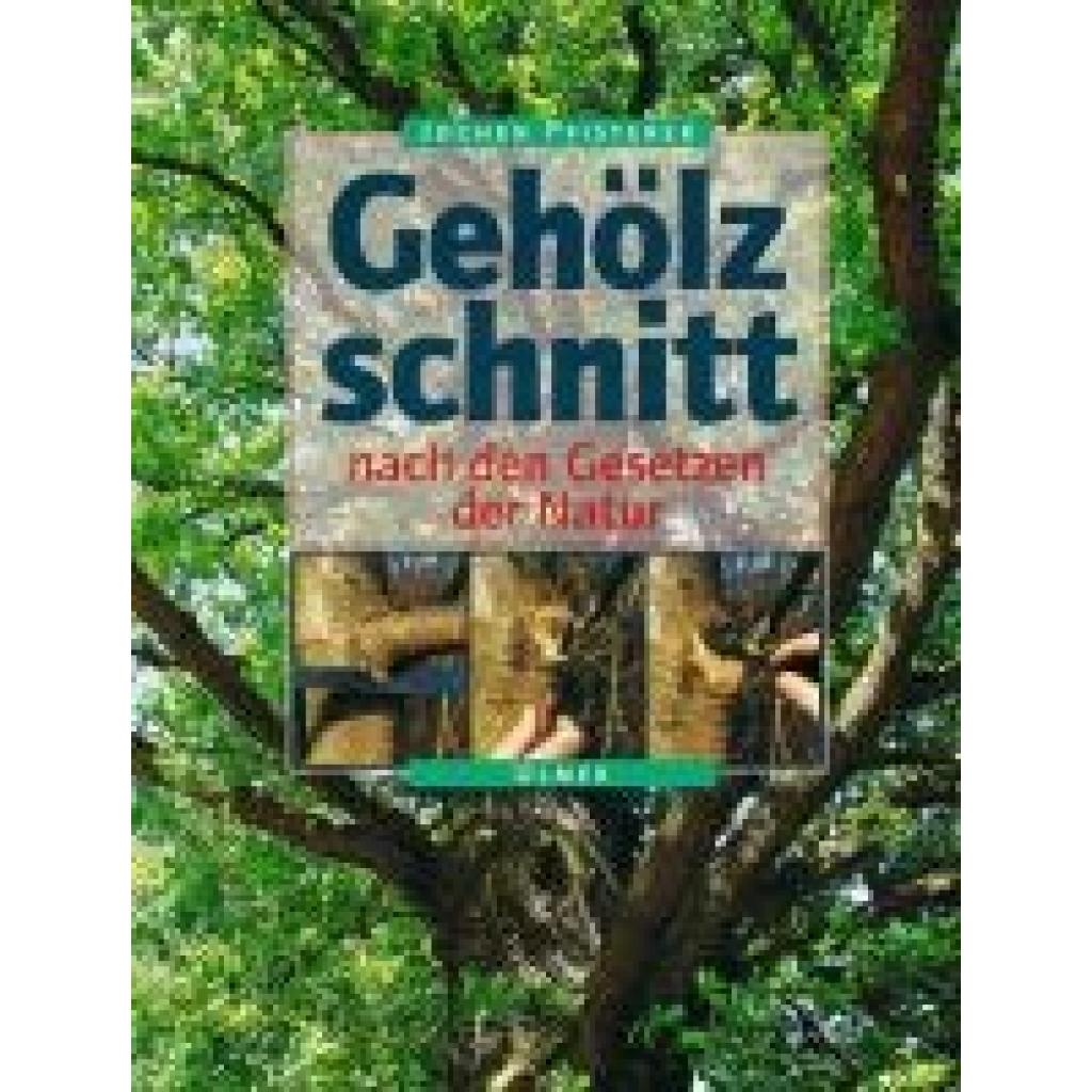 Pfisterer, Jochen A.: Gehölzschnitt nach den Gesetzen der Natur