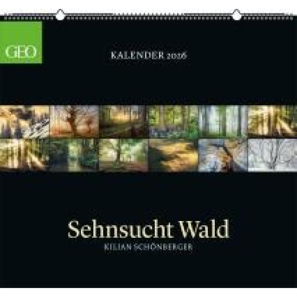 GEO Kalender: Sehnsucht Wald 2026 - Wand-Kalender - Natur-Kalender - 60x55