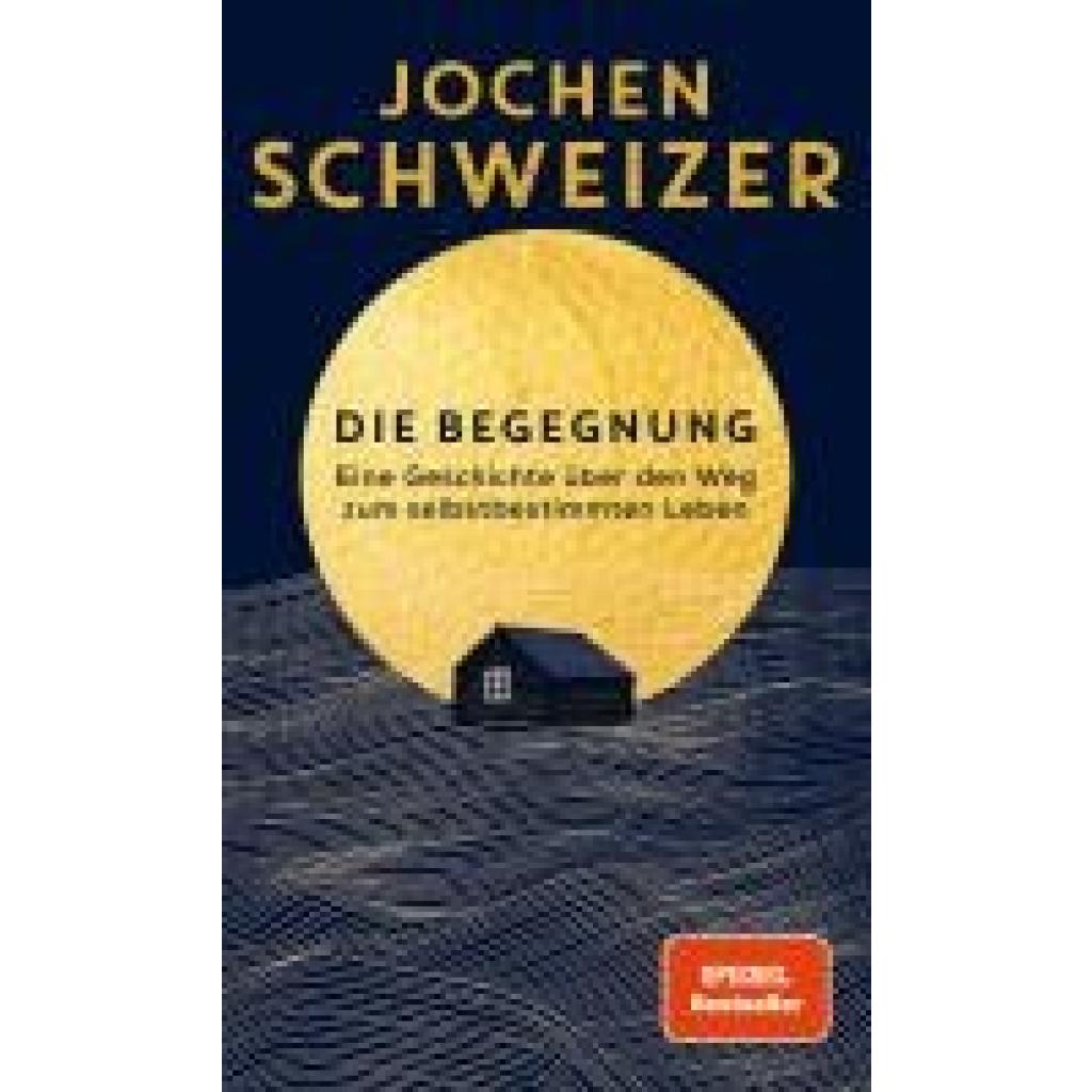 Schweizer, Jochen: Die Begegnung