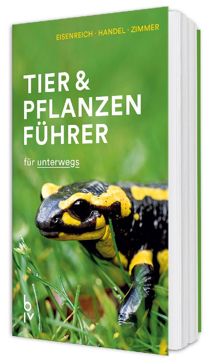 Der BLV Tier & Pflanzenführer