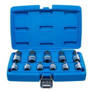 BGS Bit-Einsatz-Satz Antrieb Innenvierkant 12,5 mm (1/2 Zoll) Innensechskant 7/32 Zoll - 13/16 Zoll Zollgrößen 11 teilig