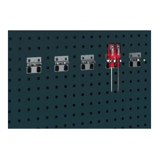 bott Doppelte Werkzeugklemme B60xT60xD2x10 mm für Lochplatten für Lochplatten