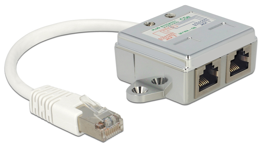 Delock RJ45 Port Doppler 1 x RJ45 Stecker  src=