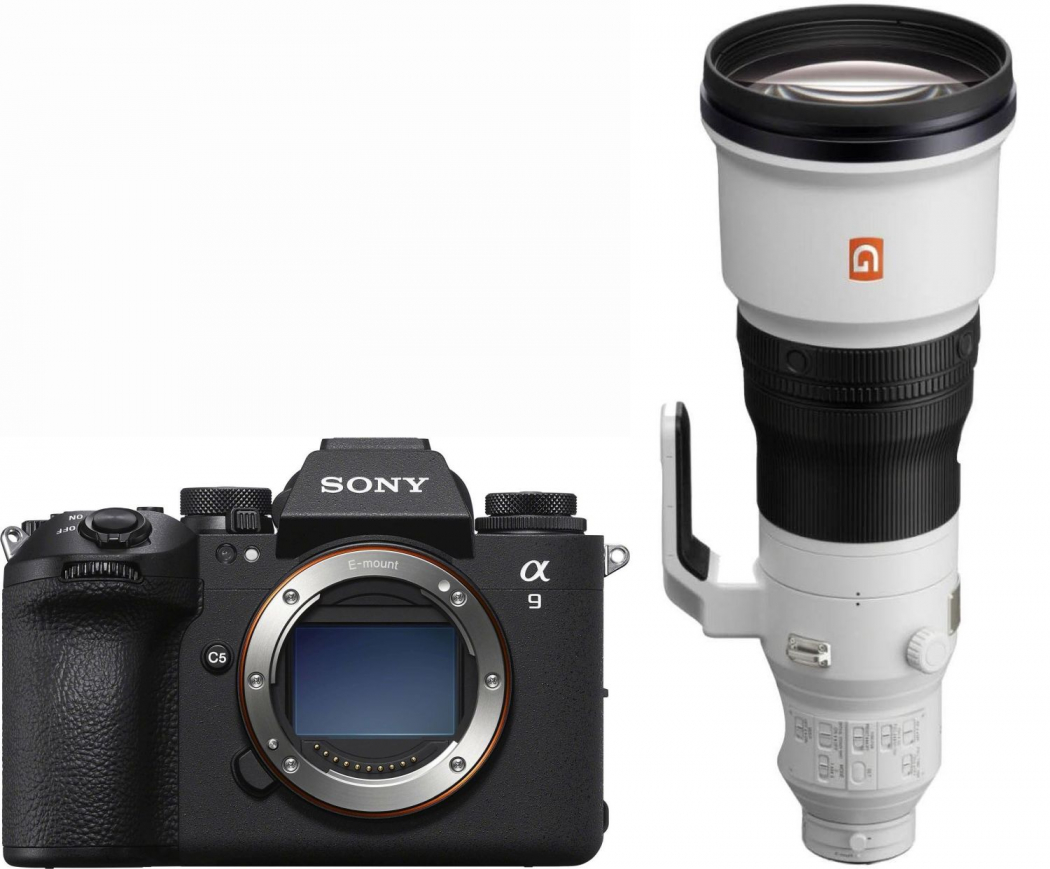 Sony Alpha ILCE-9 III + Sony SEL 600mm f4 GM OSS - abzgl. 500,00€ Wildlife Objektiv-Rabatt