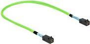 Delock - Internes SAS-Kabel - SAS 64Gbit/s - gerade durchgeführt - Mini SAS HD (SFF-8673) (M) zu Mini SAS HD (SFF-8673) (M) - 50 cm (86624)