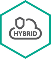 Kaspersky Hybrid Cloud Security Enterprise Server - Erneuerung der Abonnement-Lizenz (1 Jahr) - 1 virtueller Server - Volumen - Stufe E (5-9) - Europa (KL4253XAEFR)