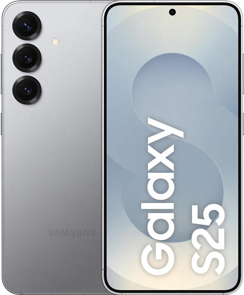 Samsung SM-S931BZSGEUE - Mobiltelefon - 256 GB - Silber (SM-S931BZSGEUE)