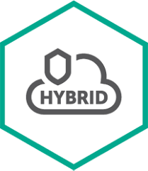 Kaspersky Hybrid Cloud Security Server - Erneuerung der Abonnement-Lizenz (1 Jahr) - 1 virtueller Server - Volumen - Stufe P (25-49) - Europa (KL4255XAPFR)