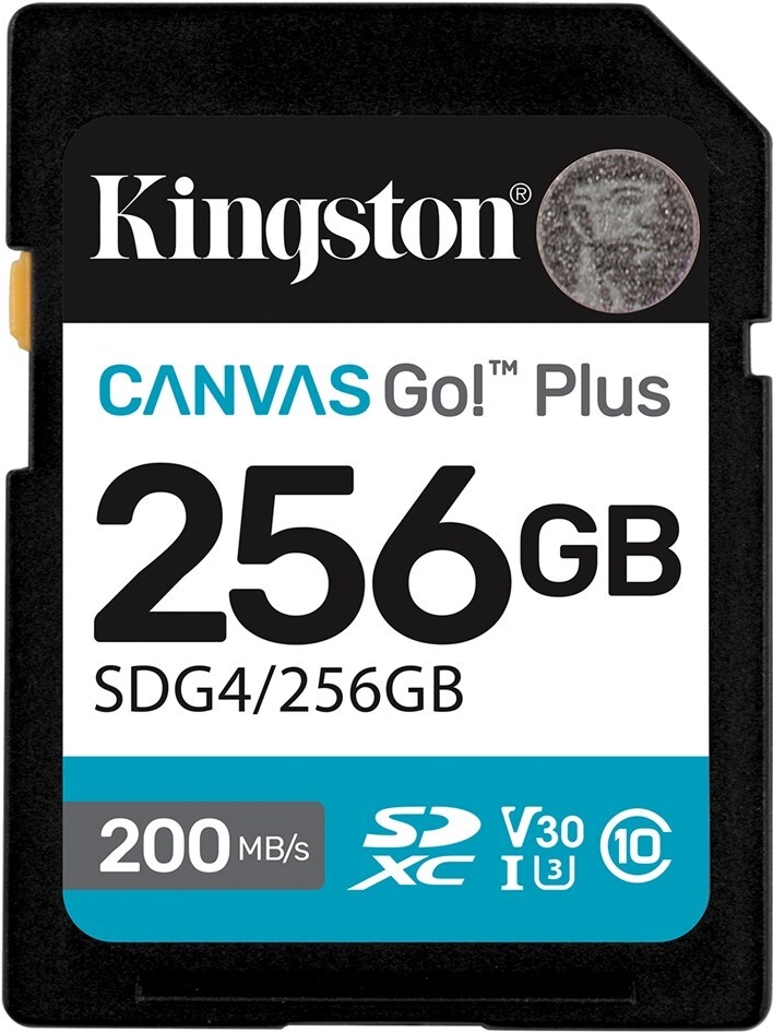 Kingston Canvas Go! Plus - Flash-Speicherkarte - 256 GB - Video Class V30 / UHS-I U3 / Class10 - SDXC UHS-I (SDG4/256GB)