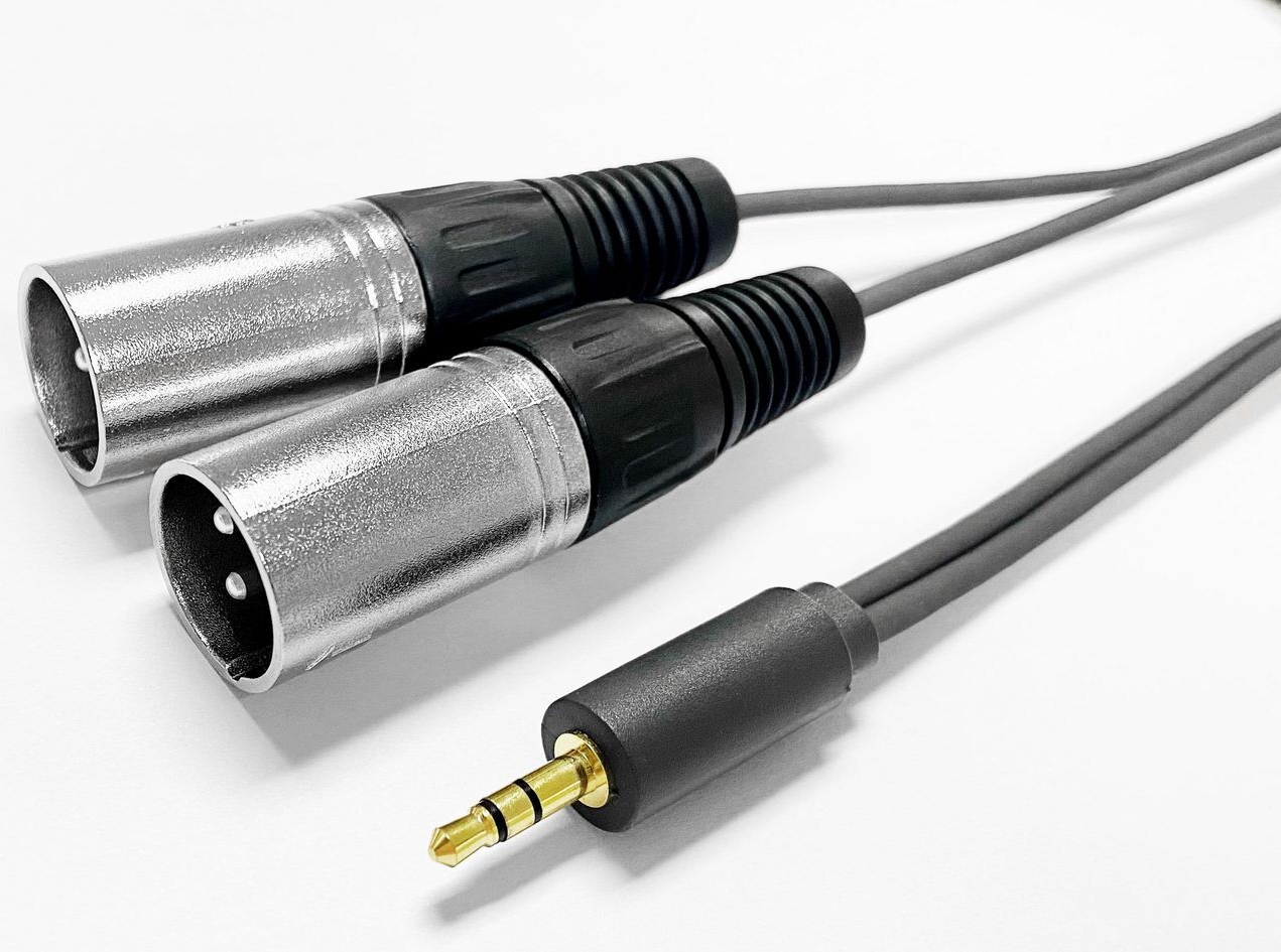 VivoLink CABLE to 2 x XLR male - Kabel - Audio/Multimedia (PROMJXLRS02)