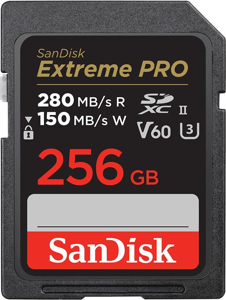 SanDisk SDSDXEP-256G-GN4IN Speicherkarte 256 GB SDXC UHS-II Klasse 10 (SDSDXEP-256G-GN4IN)