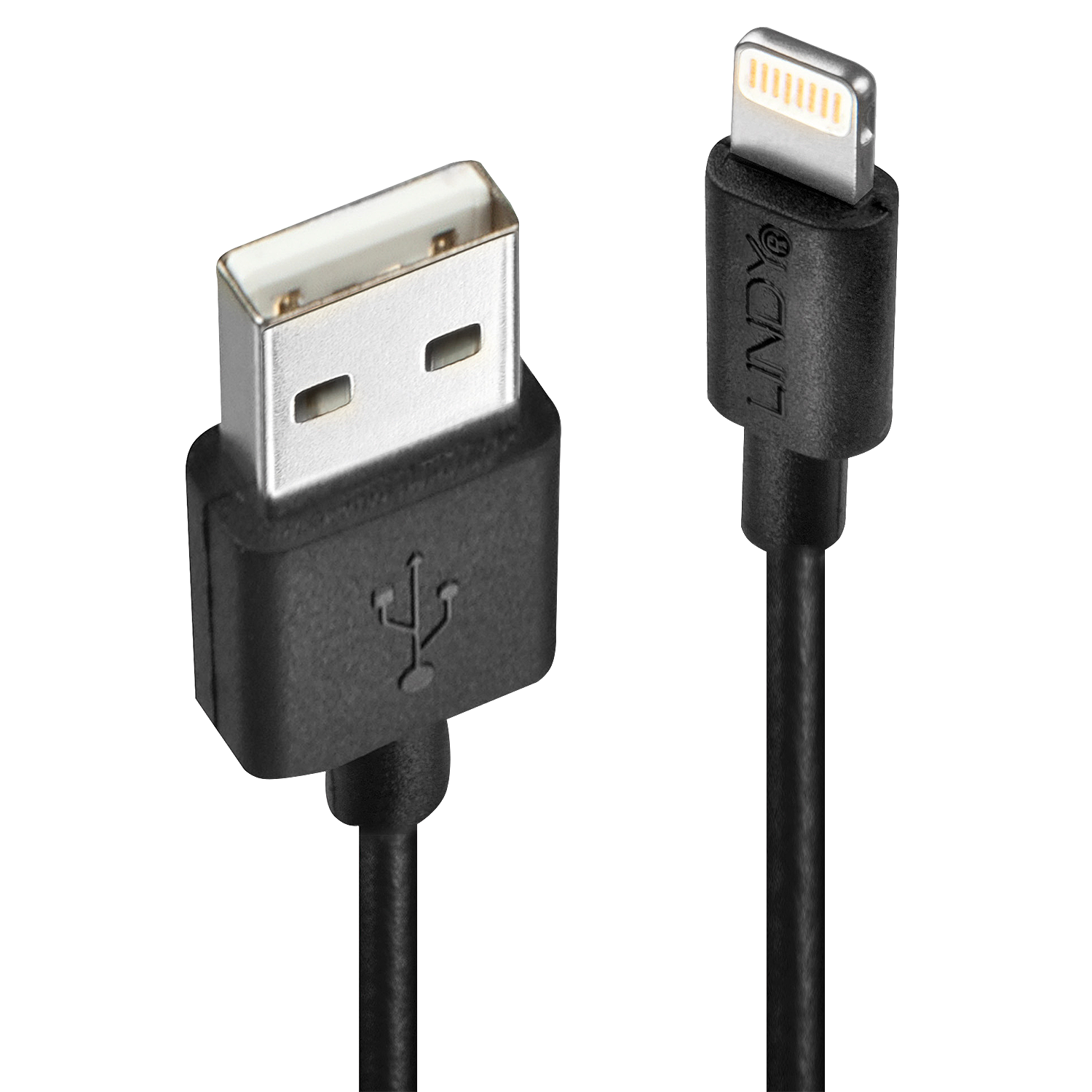 Lindy - Lightning-Kabel - Lightning männlich bis USB männlich - 50 cm - Schwarz - halogenfrei - für Apple iPad/iPhone/iPod (Lightning)