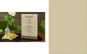 sigel Graspapier Blank grass paper, DIN A4, 100 g/qm beige, für Inkjet-/Laserdrucker/Kopierer, ohne Motiv, - 1 Stück (DP623)