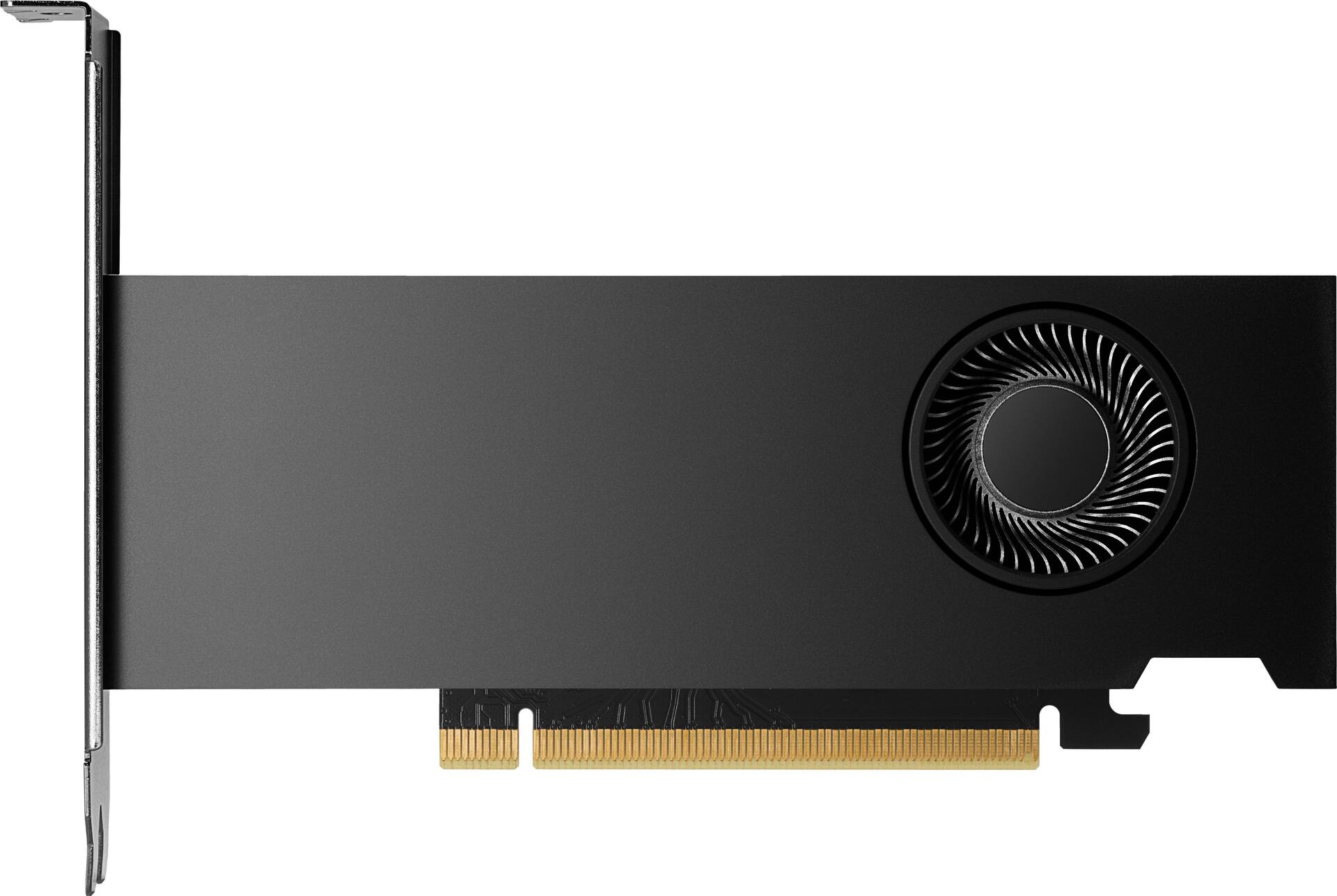 HP Inc. NVIDIA RTX 2000 Ada - Grafikkarten - NVIDIA RTX 2000 Ada - 16GB GDDR6 - 4 x Mini DisplayPort (8D6B8AA)