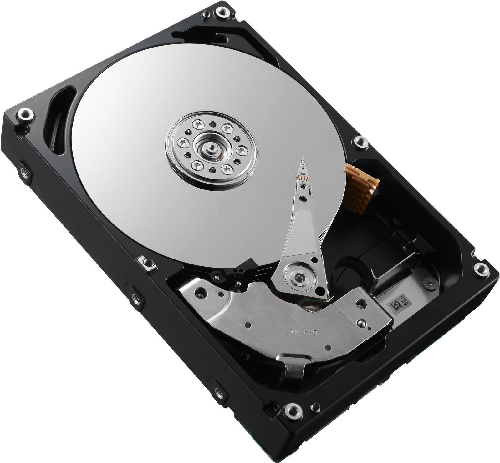 DELL V1TX2 Interne Festplatte 2.5 600 GB SAS (W125720536)