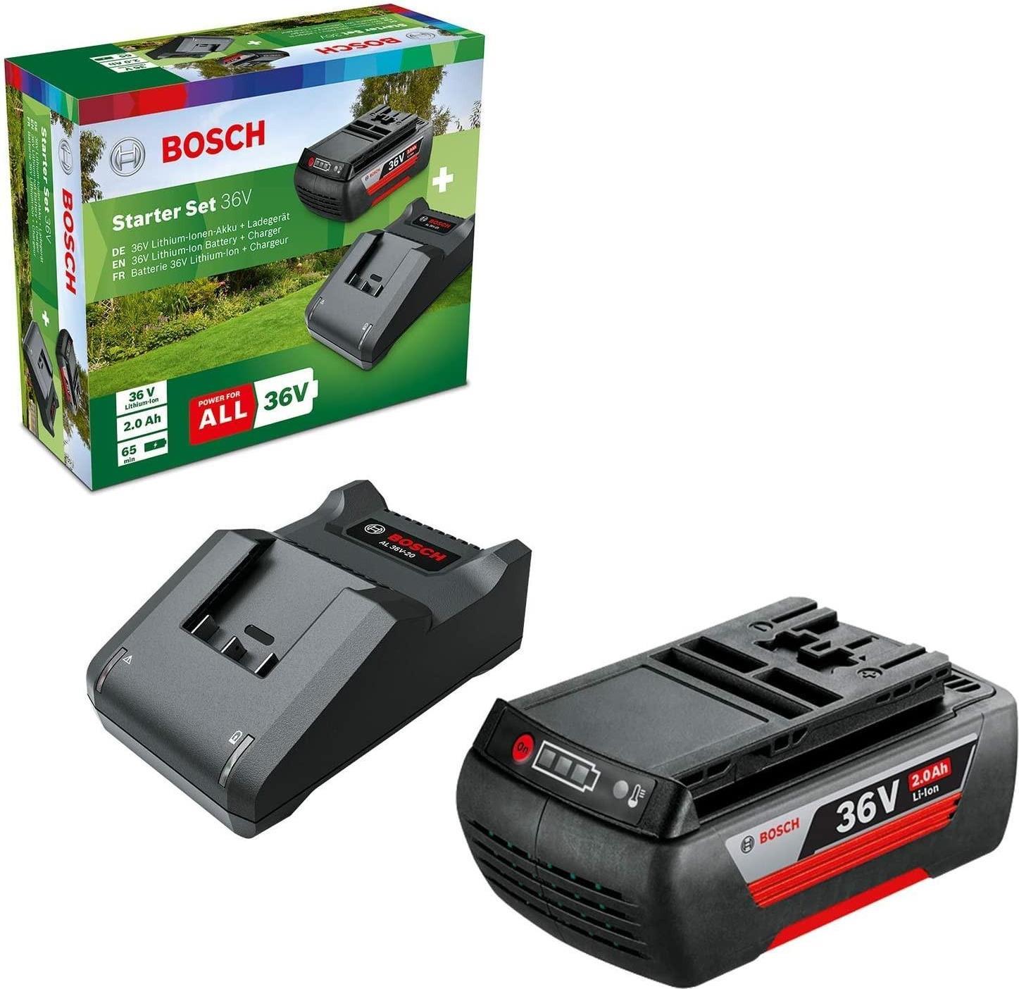 Bosch F016800609 Akku/Ladegerät für Elektrowerkzeug Batterie- & Ladegerät-Set (F.016.800.609)