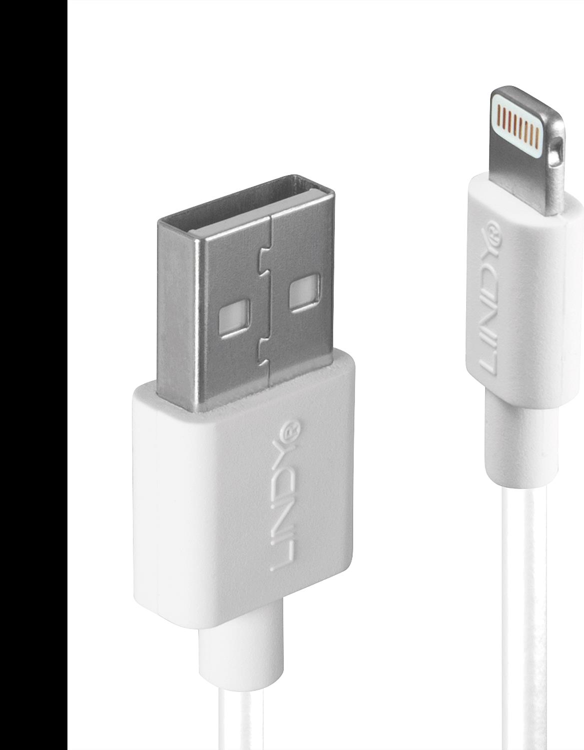 Lindy - Lightning-Kabel - Lightning männlich bis USB männlich - 1 m - weiß - halogenfrei - für Apple iPad/iPhone/iPod (Lightning)