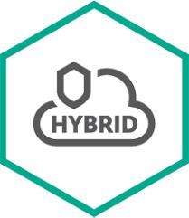 Kaspersky Hybrid Cloud Security Enterprise Server - Abonnement-Lizenz (2 Jahre) - 1 virtueller Server - Volumen - Stufe E (5-9) - Europa (KL4253XAEDS)
