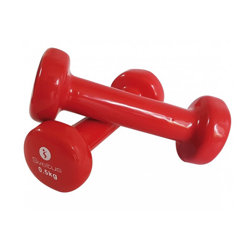 Paar Epoxy-Hanteln Sveltus 500g