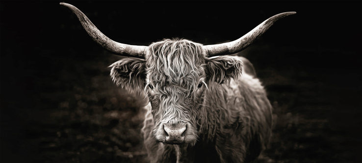 Kunstdruck auf Keilrahmen RIND 200x90cm