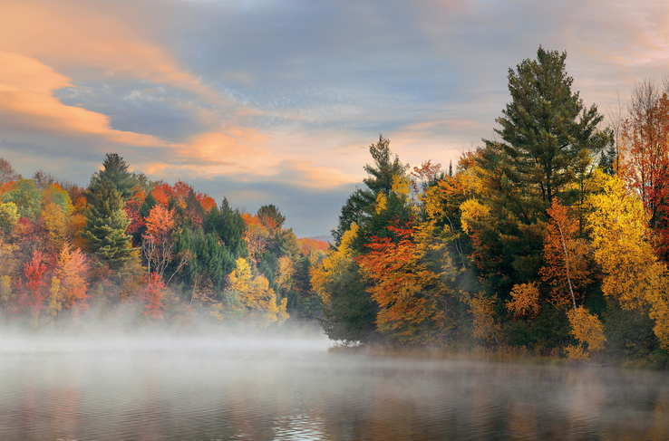 Kunstdruck auf Keilrahmen HERBSTWALD 118x78cm