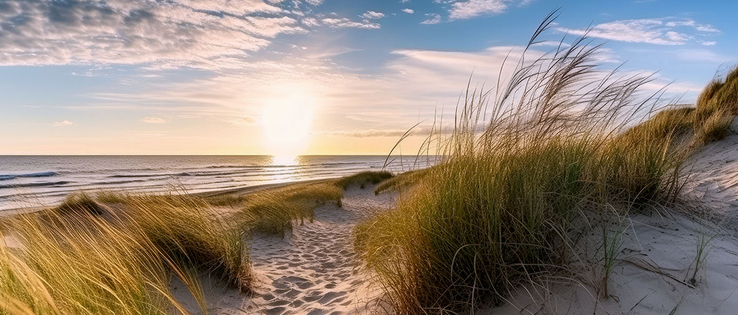 Kunstdruck auf Keilrahmen STRANDGRAS 140x60cm