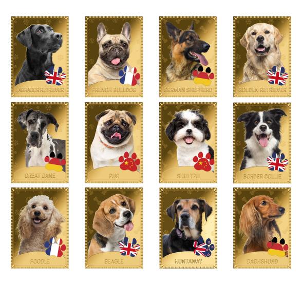 12er Set Münzbarren 'Best Friends for Live'