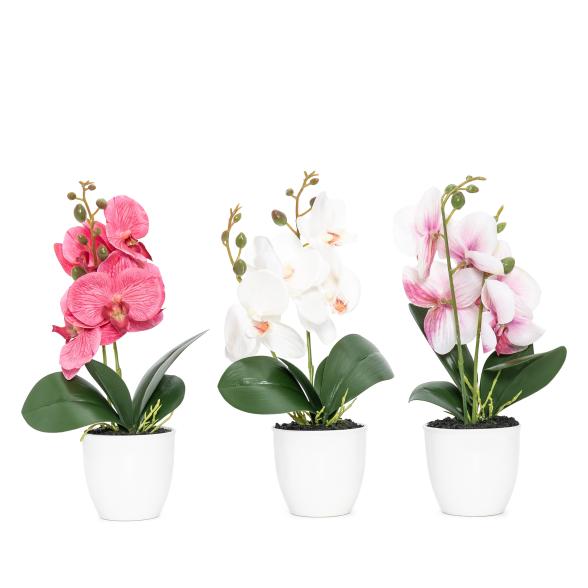 3er Set Orchideen-Arrangement 30cm