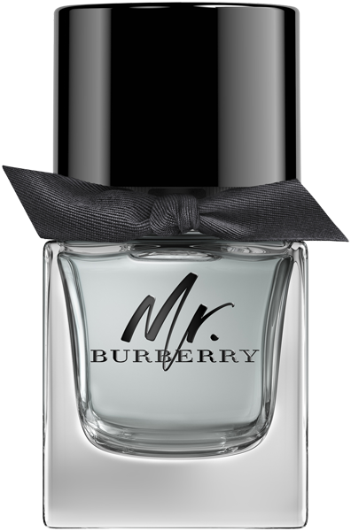 Burberry Mr. Burberry EdT Nat. Spray