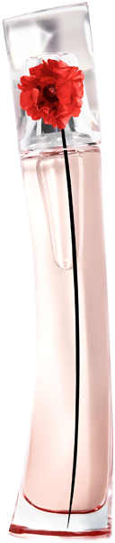 Kenzo Flower by Kenzo LAbsolue EdP Nat. Spray