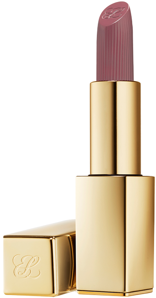 Estée Lauder Pure Color Matte Lipstick 3,5 g 809 - Secret Scandal