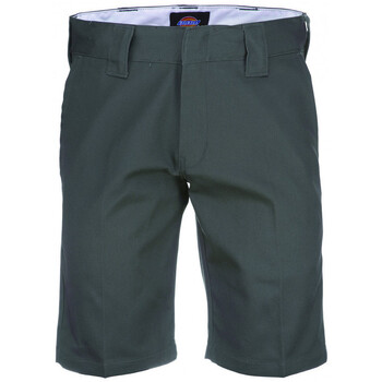 Dickies  Shorts Tynan