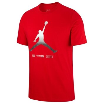 Nike  T-Shirt Jordan Legacy AJ11