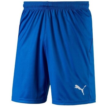 Puma  Shorts Liga Shorts Core