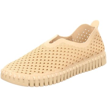 Ilse Jacobsen  Damenschuhe Slipper Tulip 3275 144 kit