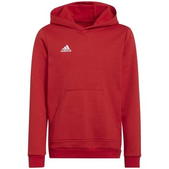 adidas  Kapuzensweaters Sport adidas Entrada 22 Hoodie tepore 152 H57566