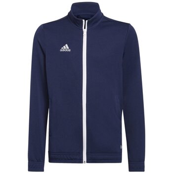 adidas  Jacken Sport adidas Entrada 22 Trainingsjacke tenabl 152 H57530