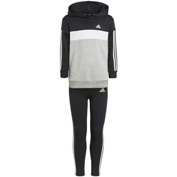 adidas Jogginganzüge IJ6327