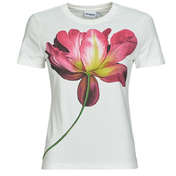 Desigual  T-Shirt PLATA