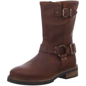 Palpa  Stiefel Stiefel F8600-olivia tabak
